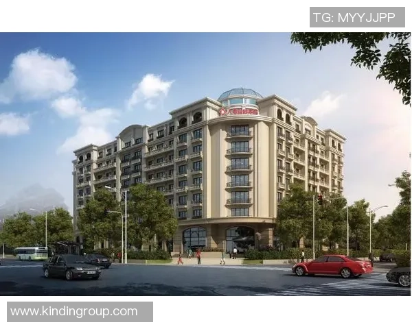 成都羽毛球队在钻石联赛中的蜕变与发展历程全景回顾